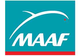 maaf